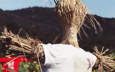 Make a Sustainable Scarecrow
