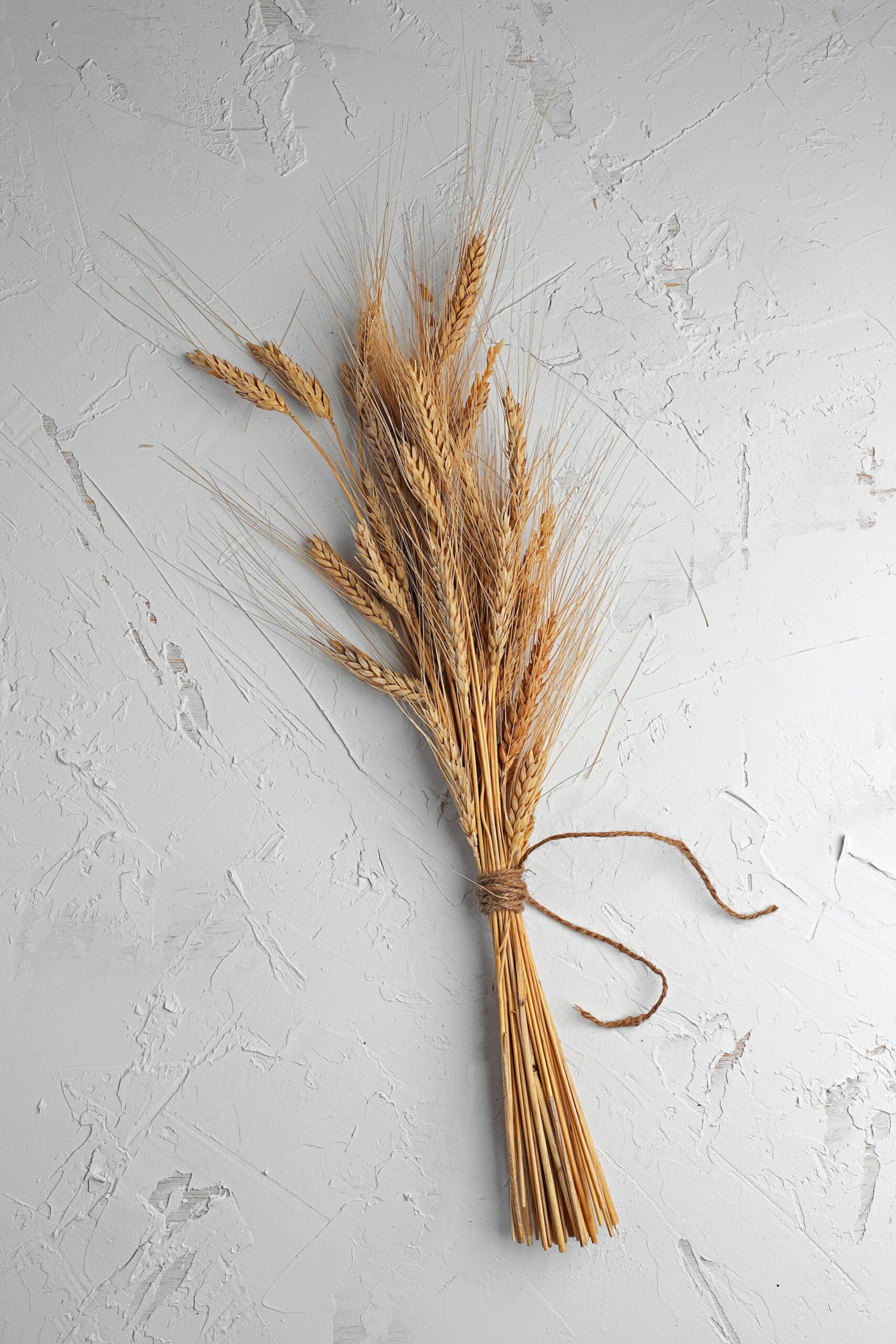 slashio-photography-z81nmQk8AMs-unsplash